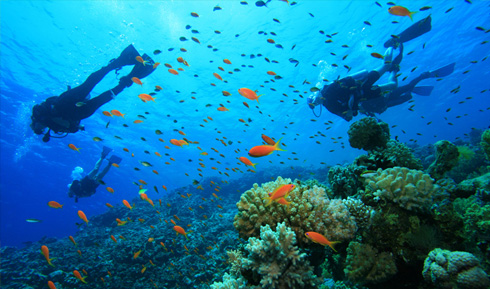 Enjoy deep sea blue Under Water Diving in Montego Bay