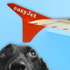 Easyjet – Pet Policy & tie up
