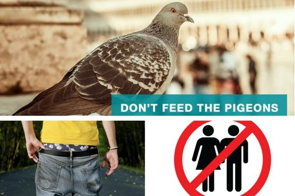 Don’t feed the pigeons