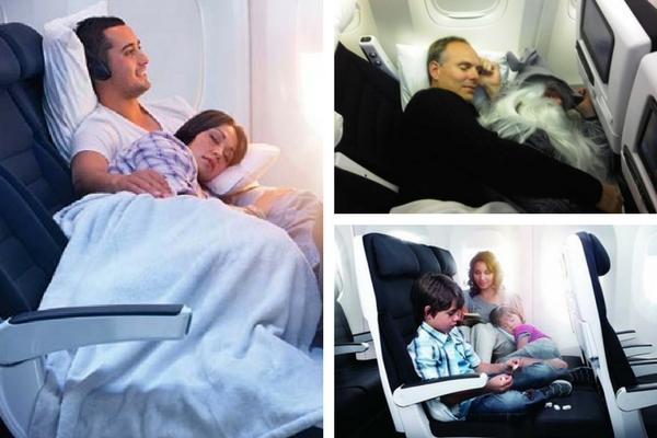 Unusual & Weirdest Airlines Air New Zealand – Cuddle Class