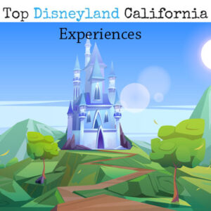 Top Experiences in Disneyland California