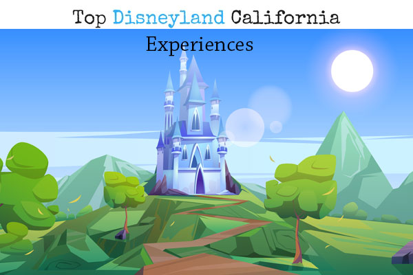 Top Experiences in Disneyland California