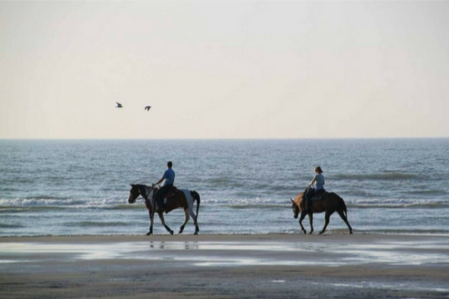 Top romantic getaway ideas when in Florida