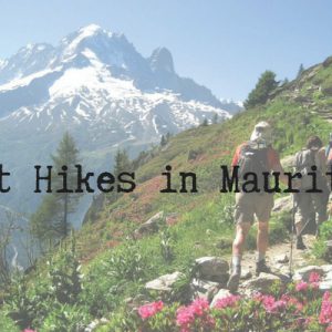 Best Hikes in Mauritius., best travel agent in London