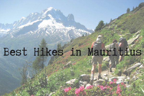 Best Hikes in Mauritius., best travel agent in London