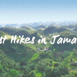 Best Hiking Trails in Jamaica
