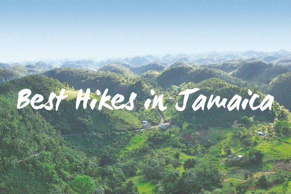 Best Hiking Trails in Jamaica