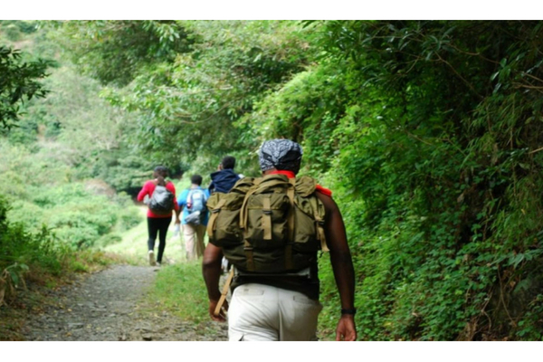 Best Hiking Trails in Jamaica