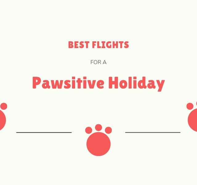 Pet Friendly Airlines