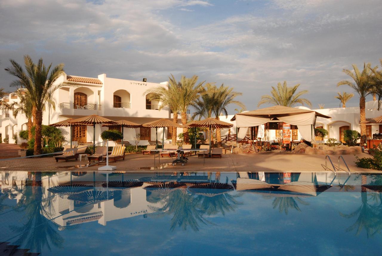 Coral Hills Resort, Sharm El Sheikh From London