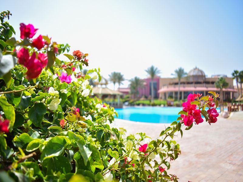 Parrotel Aqua Park Resort Sharm El Sheikh From Best Travel Agent London UK