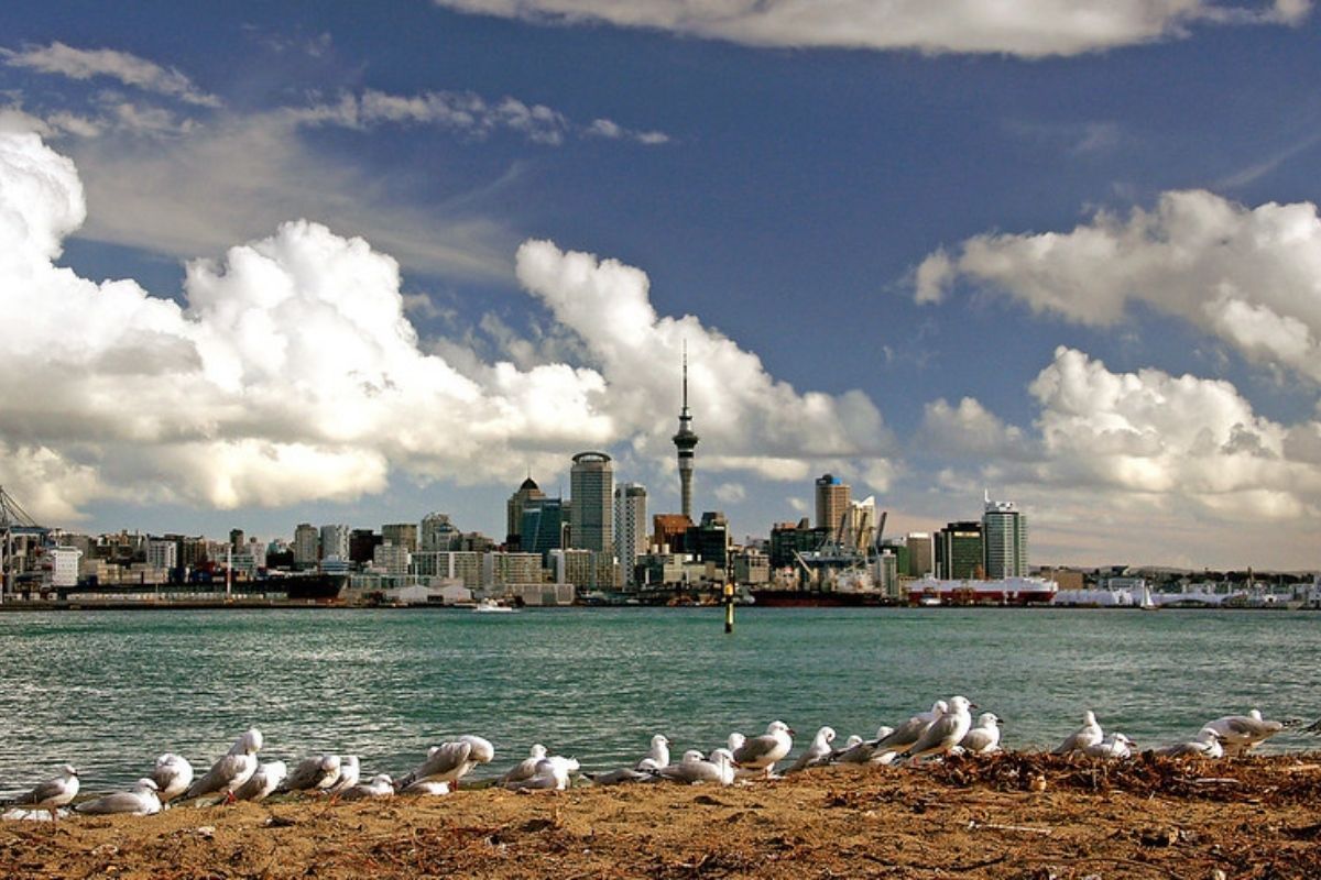 travel agents auckland