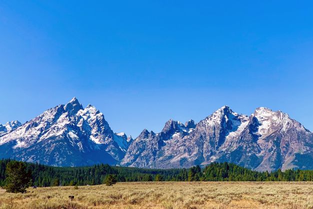 Group Flight Booking to Wyoming