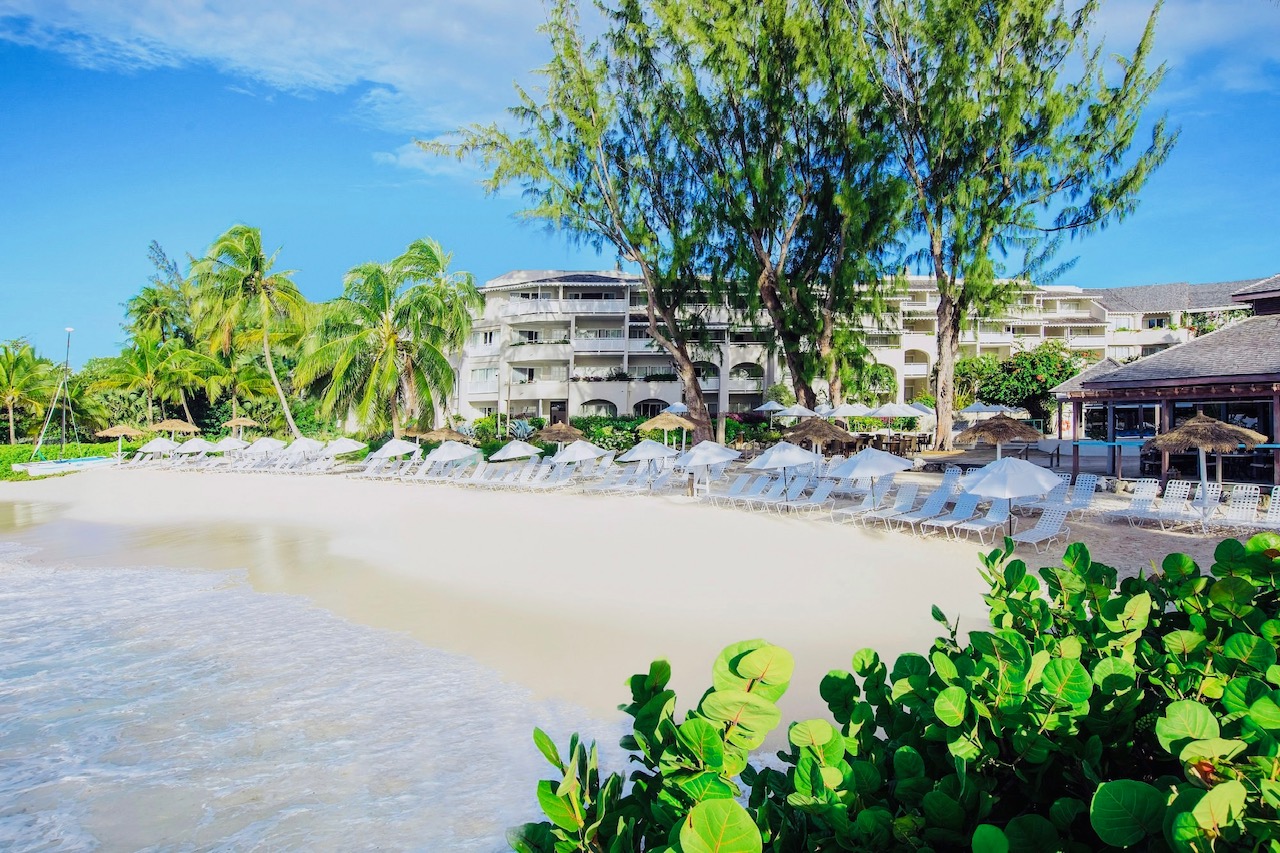 Bougainvillea Barbados
