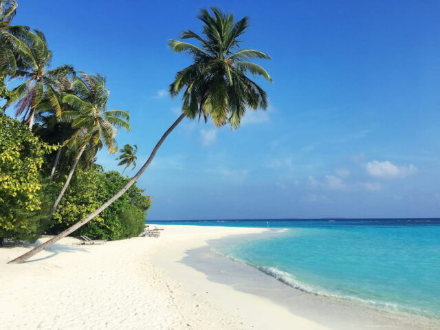 https://www.flightspro.co.uk/wp-content/uploads/2026/04/Maldives-640x480.jpg