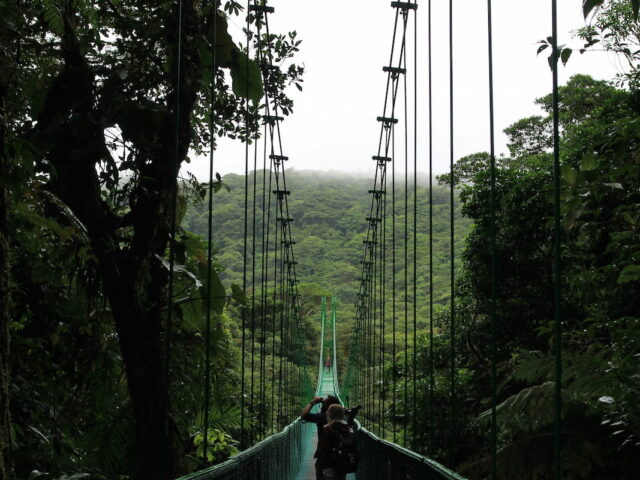 Monteverde