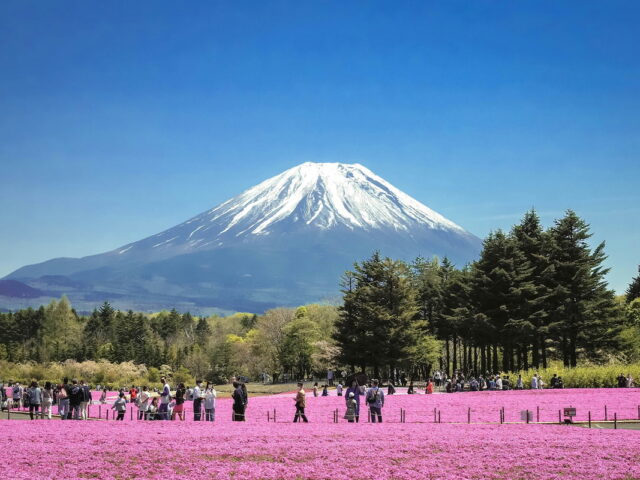https://www.flightspro.co.uk/wp-content/uploads/2026/04/Mount-Fuji-640x480.jpg