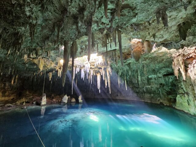 Cenote SwimminG Adventure