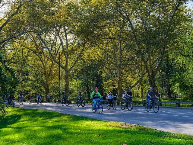 https://www.flightspro.co.uk/wp-content/uploads/2026/04/central-park-bike-on-walking-tour-640x480.jpg
