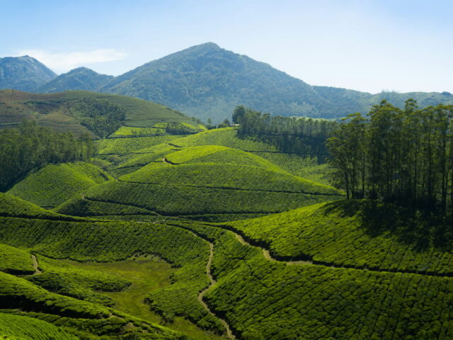Classic Kerala Holiday – 10 Days / 9 Nights from London