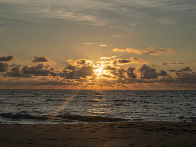 Classic Kerala Holiday – 10 Days / 9 Nights from London