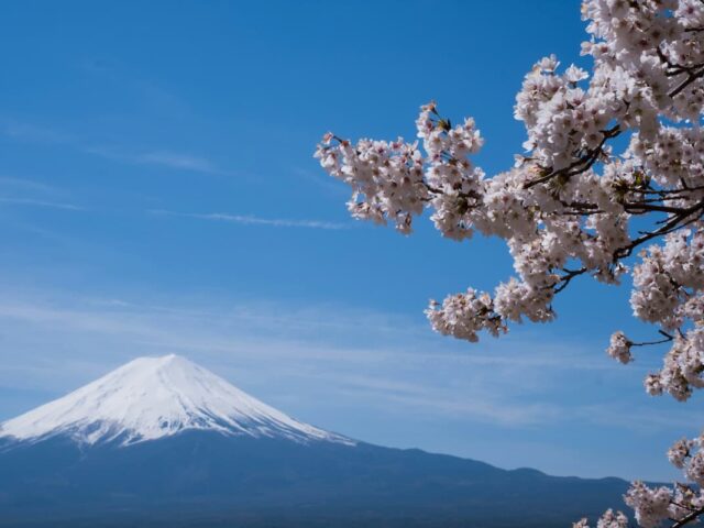 10 Nights / 11 Days Japan Holiday - Taste of the Islands
