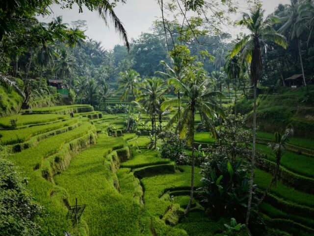 Bali Singapore Kuala Lumpur Multi Centre Holiday