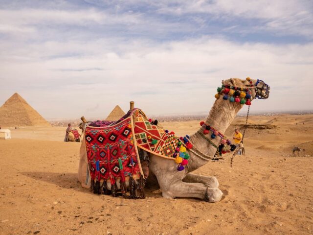 Cairo & Hurghada Holiday with Nile Cruise Experience – 8 Nights / 9 Days from London