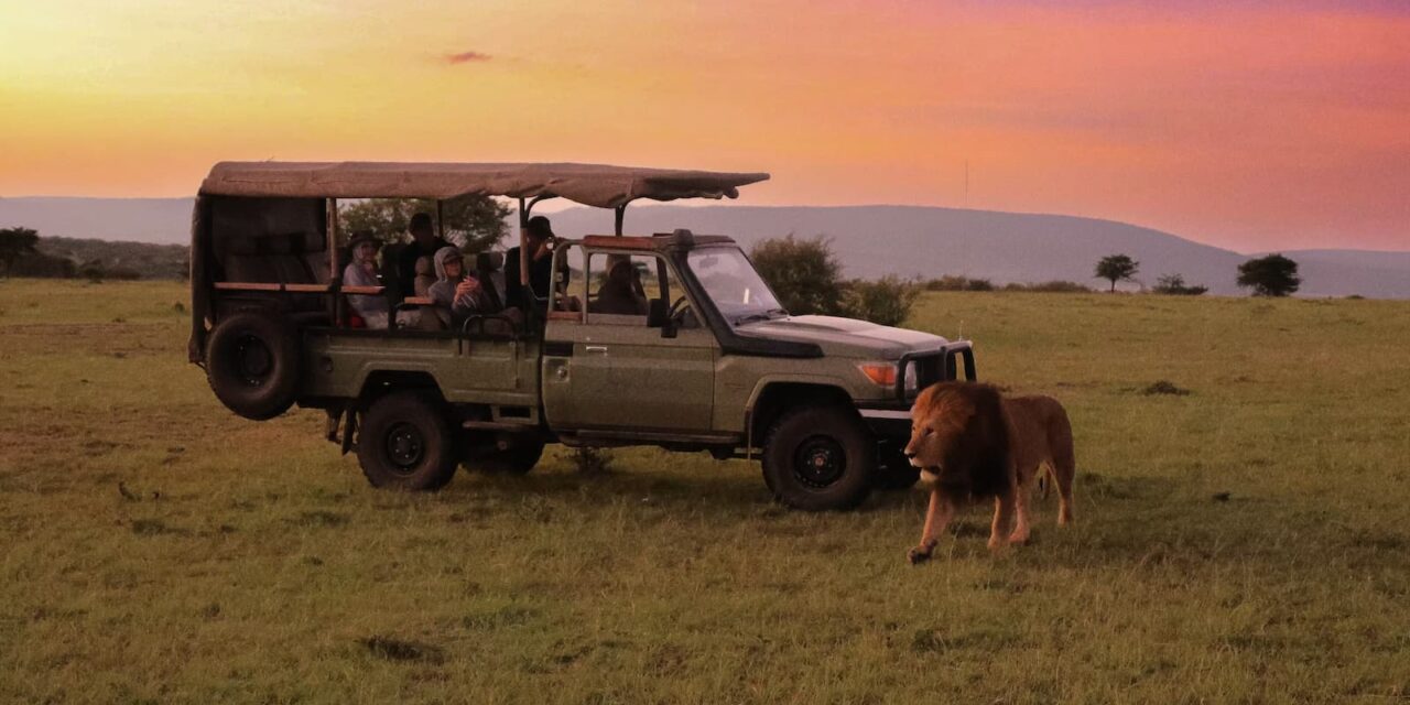African & Indian Safari Holidays