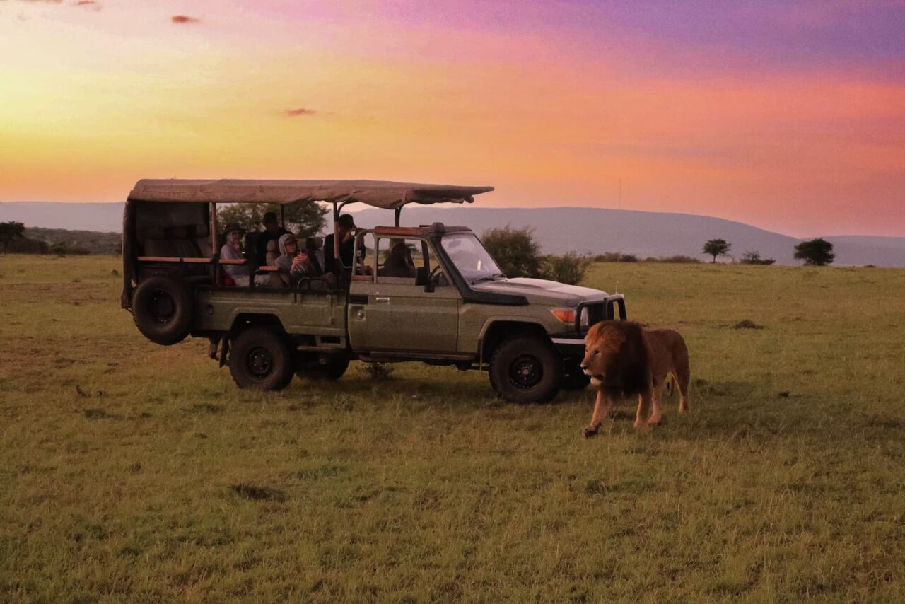 African & Indian Safari Holidays