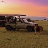 African & Indian Safari Holidays