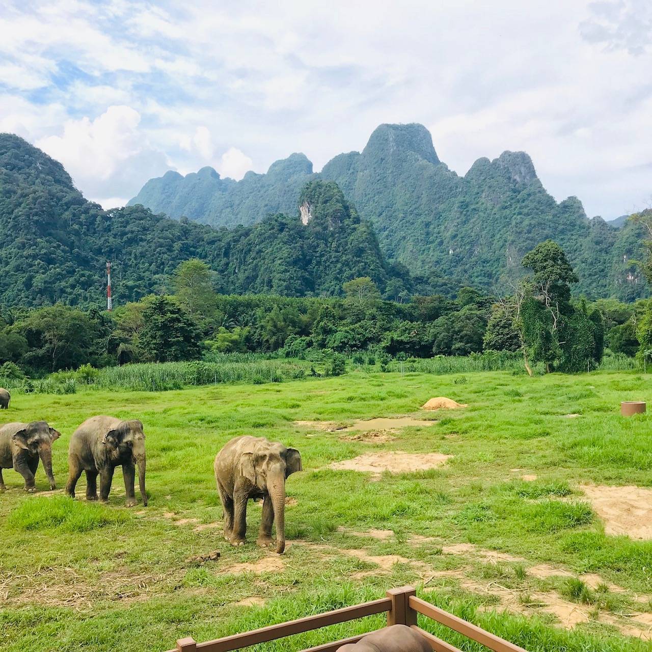 Elephant Hills Jungle & Lake Camp Safari (Safari Tent)