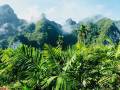 elephant-hills-safari-thailand-beach-stay-4