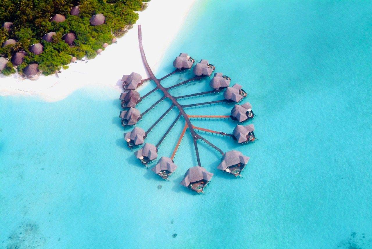 Coco Palm Dhuni Kolhu, Maldives Holiday